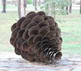 ONC00320000_1.jpg