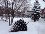 sadovaia_skulptura_pinecone2.JPG